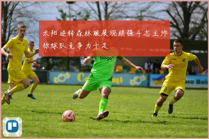 太阳逆转森林狼展现顽强斗志主帅称球队竞争力十足