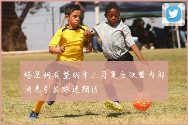 塔图姆有望明年三月复出联盟内部消息引发球迷期待