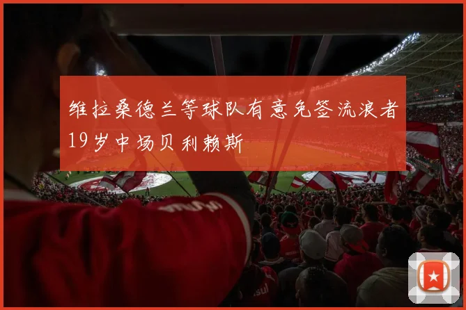 维拉桑德兰等球队有意免签流浪者19岁中场贝利赖斯