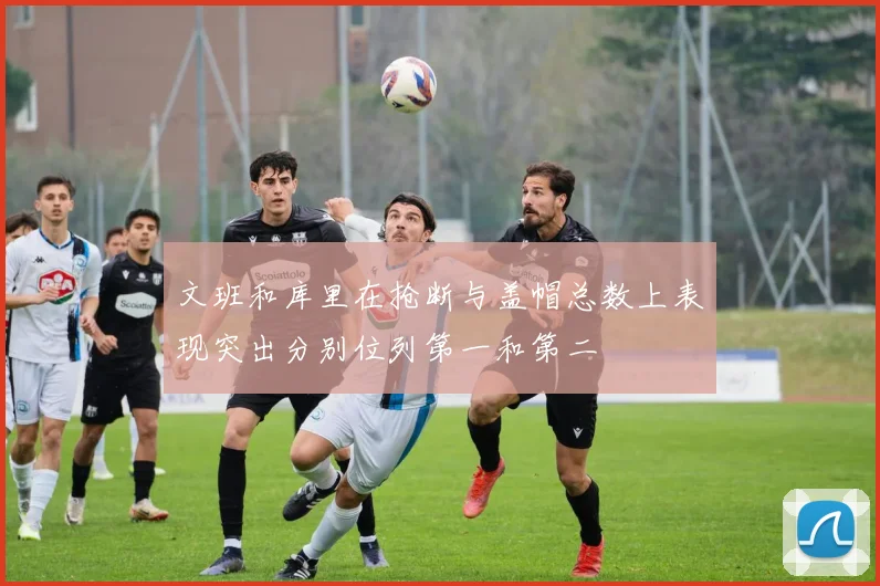 文班和库里在抢断与盖帽总数上表现突出分别位列第一和第二