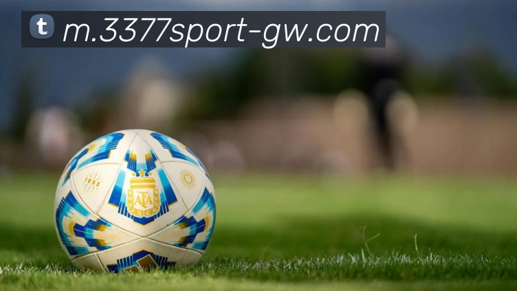 3377体育平台生态图